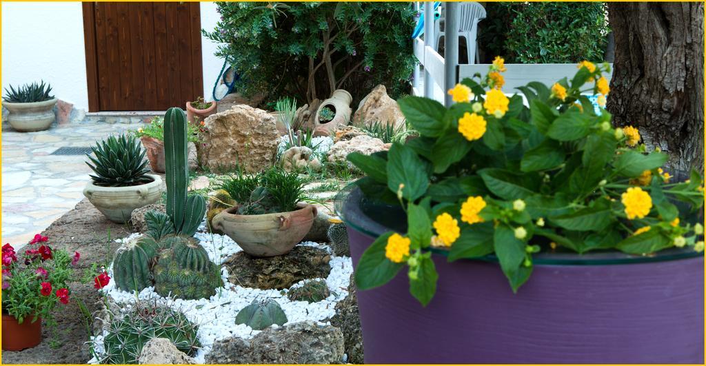 Ai Parchi Dei Parrini Bed & Breakfast Partinico Ngoại thất bức ảnh